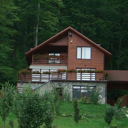 Villa Mara Sinaia Buitenkant foto