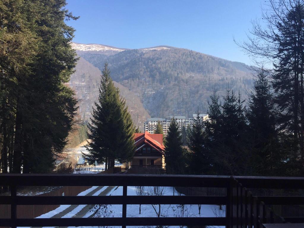 Villa Mara Sinaia Buitenkant foto