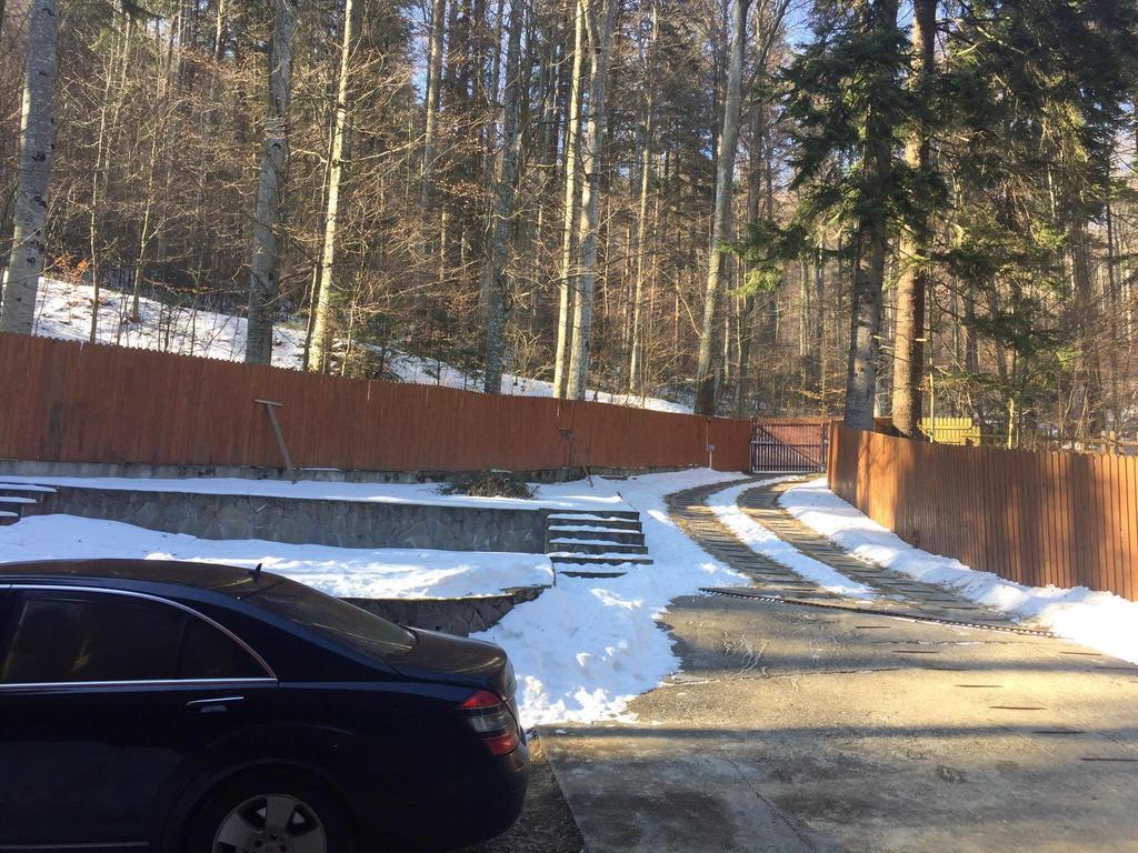 Villa Mara Sinaia Buitenkant foto
