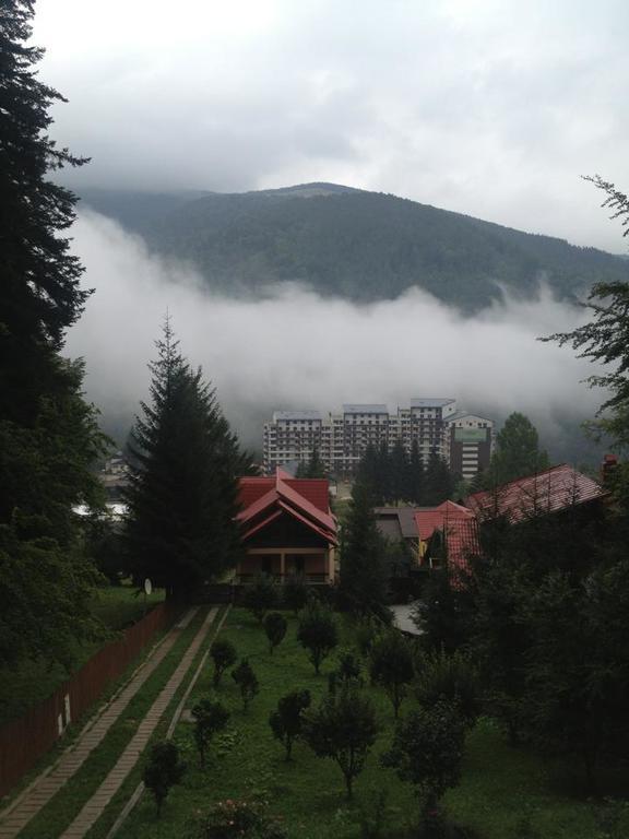 Villa Mara Sinaia Buitenkant foto
