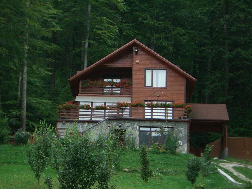 Villa Mara Sinaia Buitenkant foto