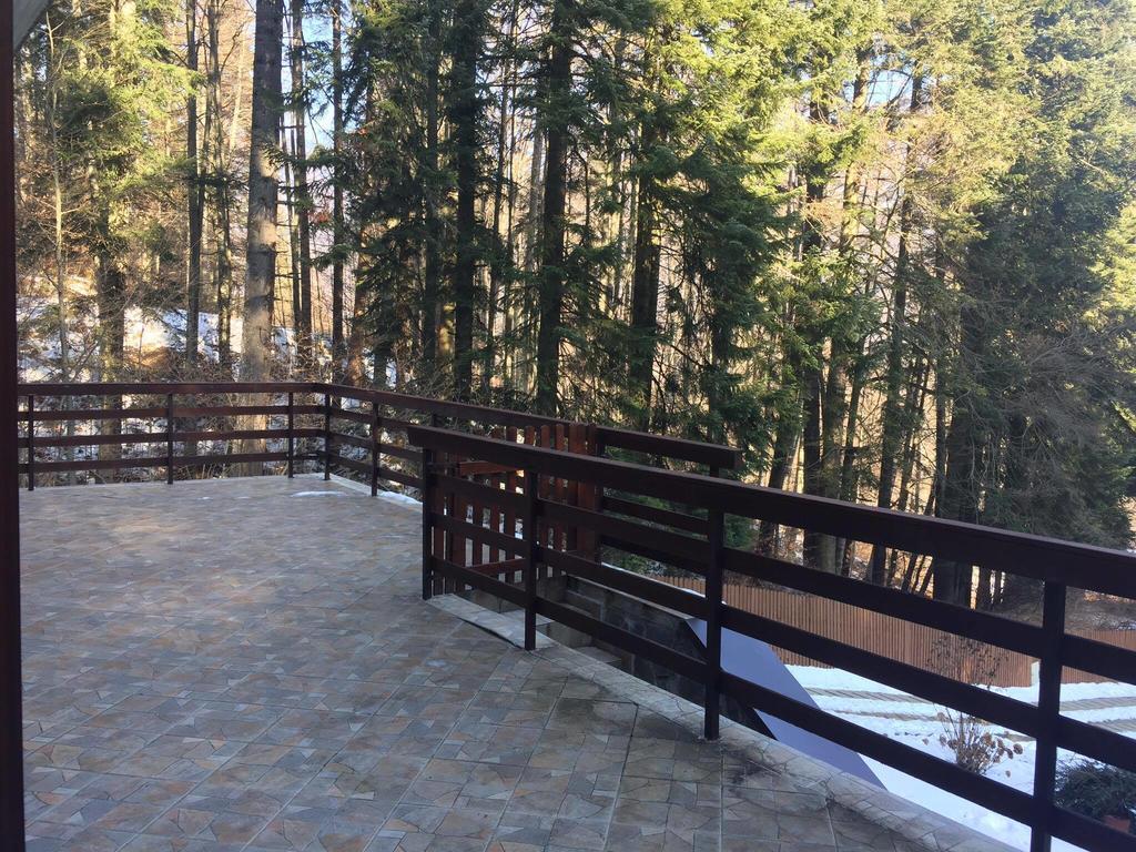 Villa Mara Sinaia Buitenkant foto
