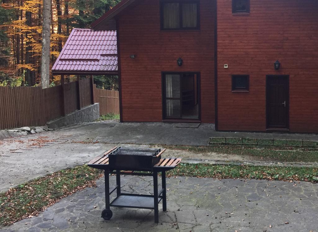 Villa Mara Sinaia Buitenkant foto
